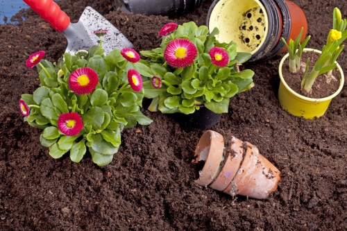 Lawn mowing service in Cranham maintaining a neat residential garden