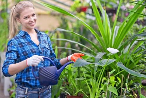 Gardeners Cranham team working safely in a garden
