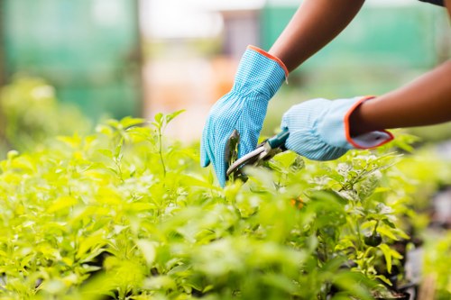 Gardeners Cranham modern slavery statement introduction