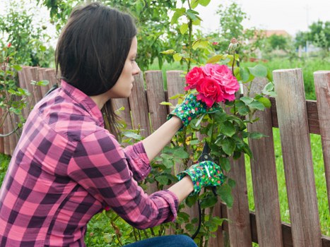 Local gardeners in Cranham trimming hedges and lawn edges