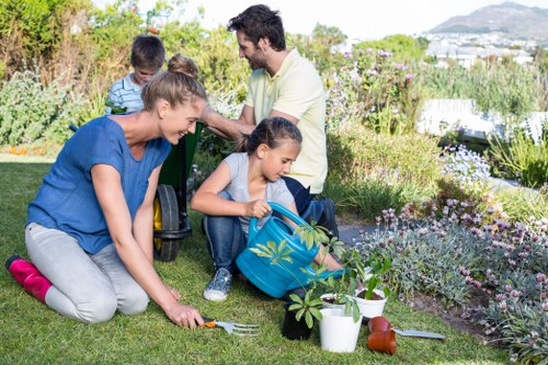 Healthy lawn care and edging in a Cranham garden