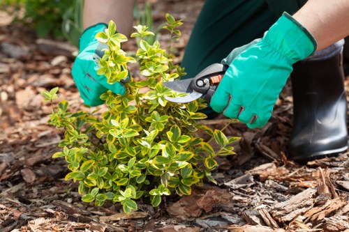 Safe and professional garden maintenance in Cranham