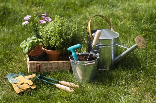 Stump grinding and tree maintenance service in Cranham