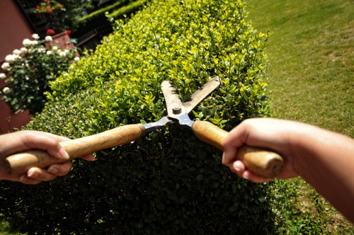 Professional gardening services in Cranham with lawn and border maintenance