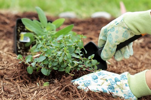 Local recycling separation for garden waste in Cranham