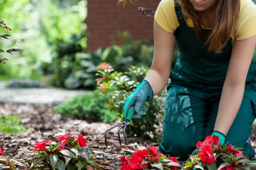 Professional garden maintenance and planting care in Cranham