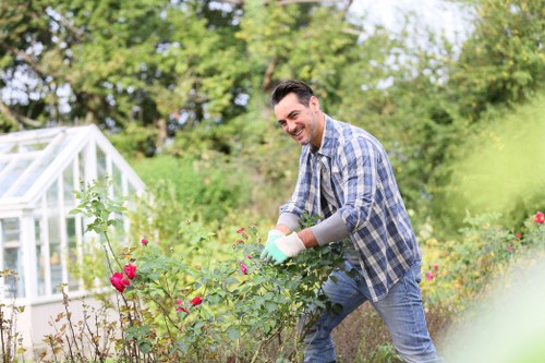 Removal of branches, weeds, and garden waste during Cranham clearance