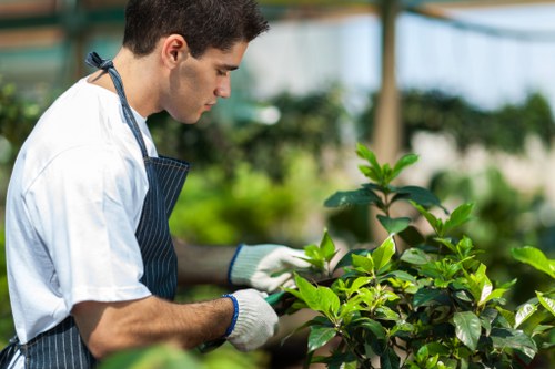 Governing law and final contractual terms for gardening services