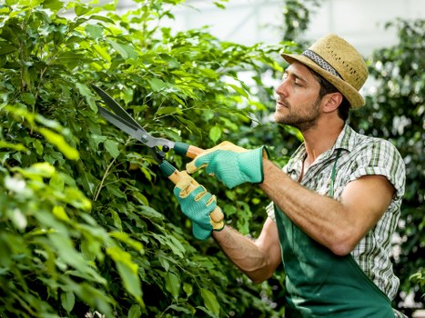 Garden maintenance tasks in Cranham including trimming and weeding