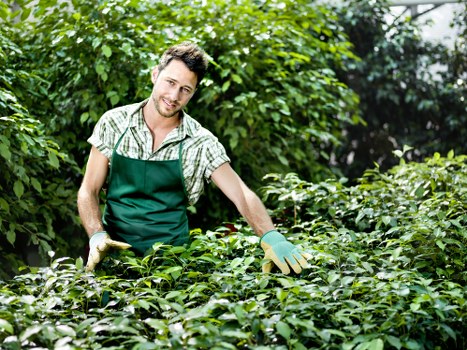 Final cookie policy summary for Gardeners Cranham