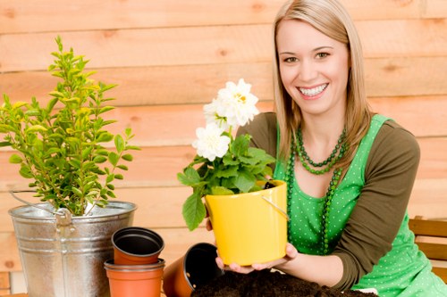 Seasonal lawn maintenance in a Cranham garden