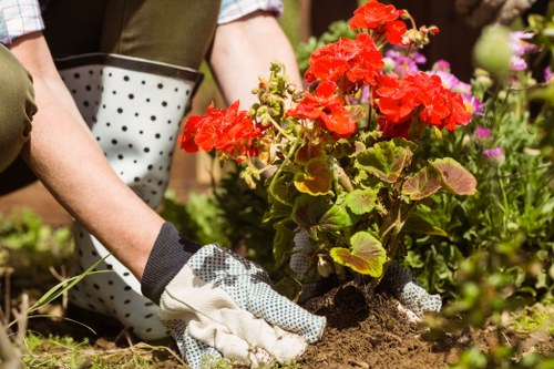 Seasonal garden maintenance in Cranham with leaf clearance and tidy beds