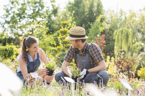 Professional pruning and crown reduction services in Cranham