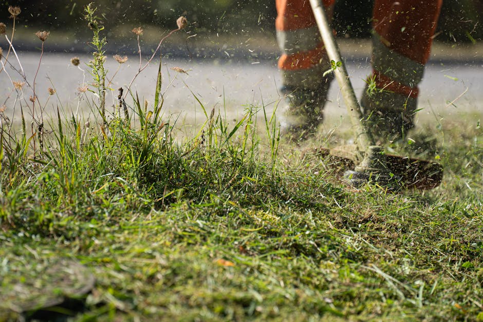 A close-up view of a person using a grass trimmer to cut overgrown grass and weeds in a garden, with visible blades of green grass and scattered dried plant stems. The soil beneath the grass appears m